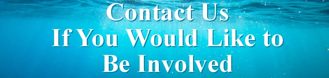 Contact Us<br />
If You Would Like to Be Involved