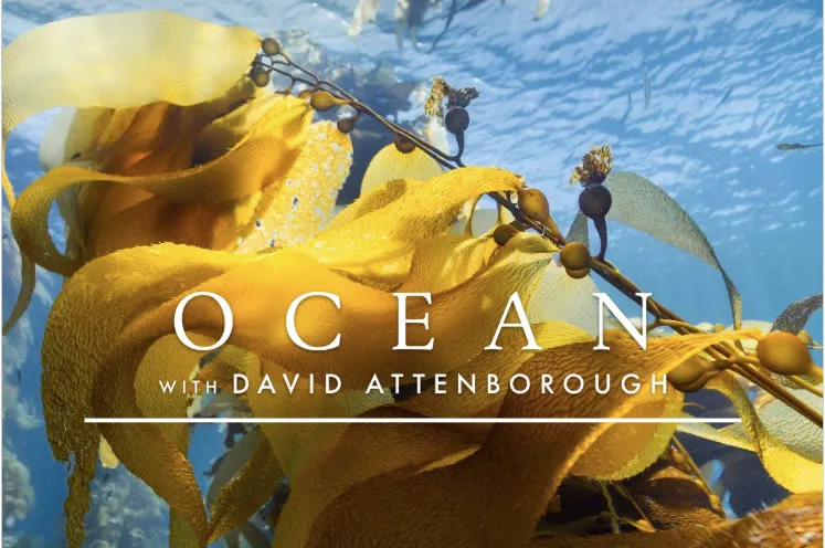 Ocean by David Attenborough
